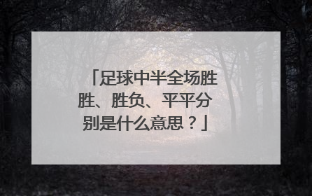 足球中半全场胜胜、胜负、平平分别是什么意思？
