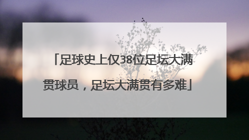 足球史上仅38位足坛大满贯球员,足坛大满贯有多难