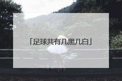 足球共有几黑几白
