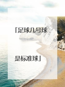 足球几号球是标准球