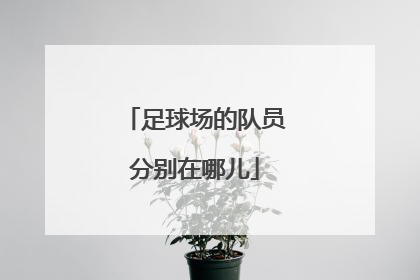 足球场的队员分别在哪儿