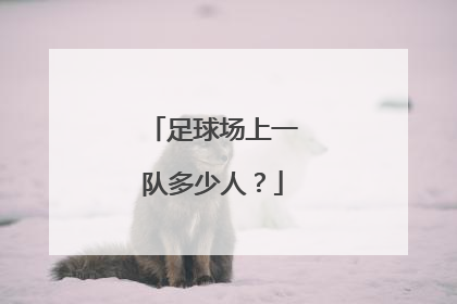 足球场上一队多少人？