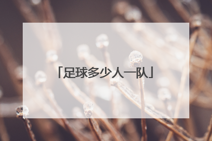 足球多少人一队