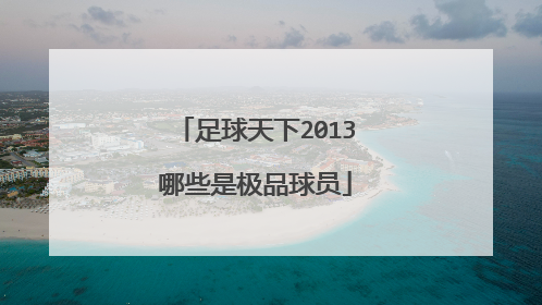 足球天下2013哪些是极品球员