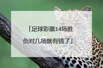 足球彩票14场胜负对几场就有钱了