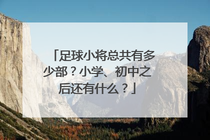 足球小将总共有多少部?小学、初中之后还有什么?