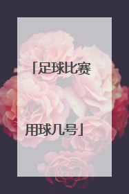 足球比赛用球几号
