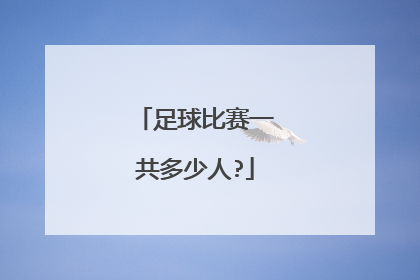 足球比赛一共多少人?