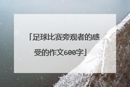 足球比赛旁观者的感受的作文600字