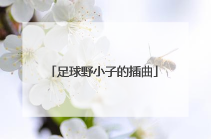 足球野小子的插曲