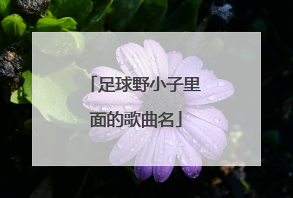 足球野小子里面的歌曲名