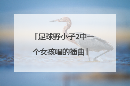 足球野小子2中一个女孩唱的插曲