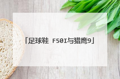足球鞋 F50I与猎鹰9
