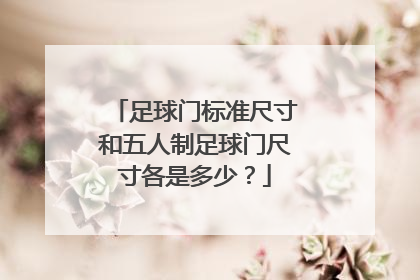 足球门标准尺寸和五人制足球门尺寸各是多少？
