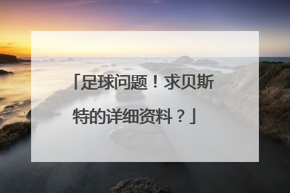足球问题！求贝斯特的详细资料？