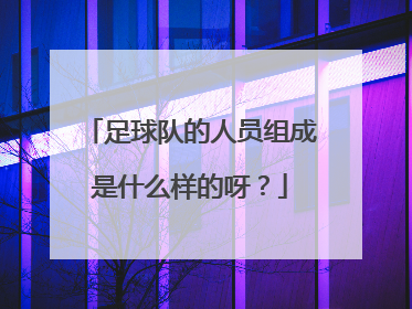 足球队的人员组成是什么样的呀？