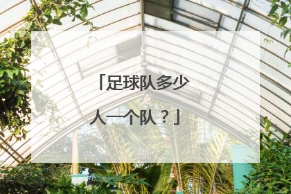 足球队多少人一个队?