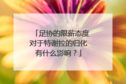 足协的限薪态度对于特谢拉的归化有什么影响？