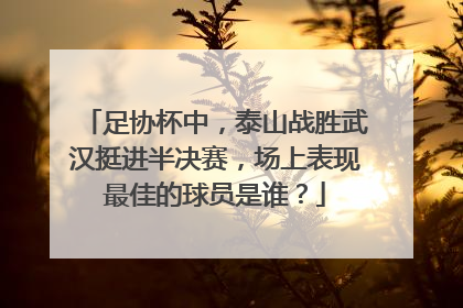足协杯中，泰山战胜武汉挺进半决赛，场上表现最佳的球员是谁？