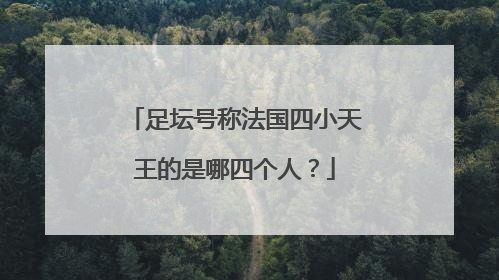 足坛号称法国四小天王的是哪四个人？