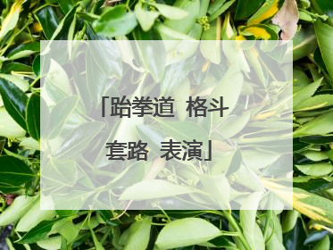 跆拳道 格斗 套路 表演