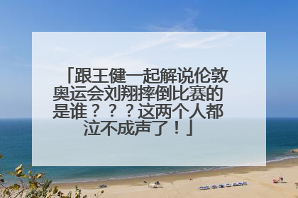 跟王健一起解说伦敦奥运会刘翔摔倒比赛的是谁？？？这两个人都泣不成声了！