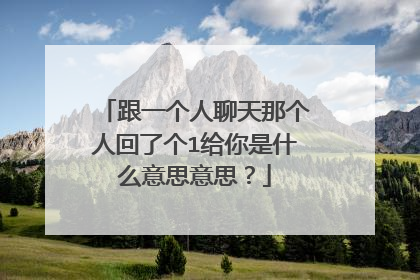 跟一个人聊天那个人回了个1给你是什么意思意思？