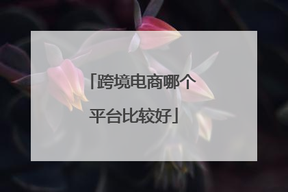 跨境电商哪个平台比较好