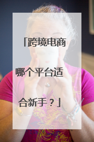 跨境电商哪个平台适合新手?