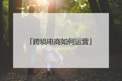 跨境电商如何运营