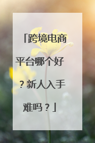 跨境电商平台哪个好？新人入手难吗？
