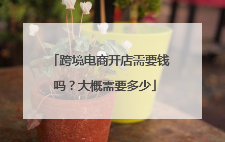 跨境电商开店需要钱吗?大概需要多少