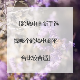 跨境电商新手选择哪个跨境电商平台比较合适