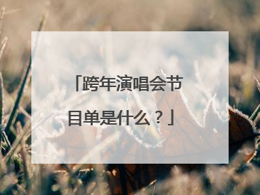 跨年演唱会节目单是什么?
