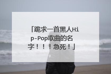 跪求一首黑人Hip-Pop歌曲的名字!!!急死!