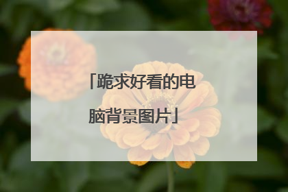 跪求好看的电脑背景图片