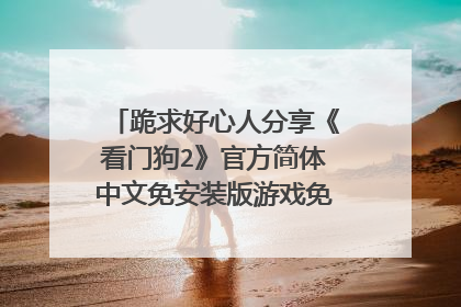 跪求好心人分享《看门狗2》官方简体中文免安装版游戏免费百度云资源