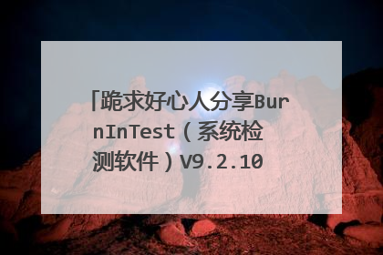 跪求好心人分享BurnInTest（系统检测软件）V9.2.1008 绿色安装版软件免费百度云资源