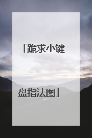 跪求小键盘指法图