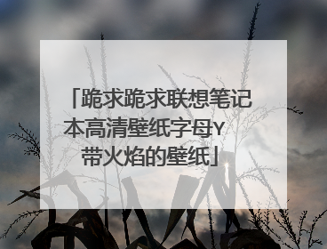 跪求跪求联想笔记本高清壁纸字母Y 带火焰的壁纸