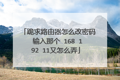 跪求路由器怎么改密码 输入那个 168 192 11又怎么弄