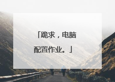 跪求，电脑配置作业。