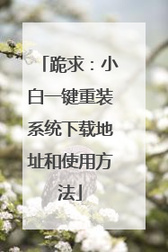 跪求:小白一键重装系统下载地址和使用方法