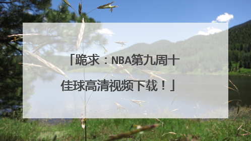 跪求:NBA第九周十佳球高清视频下载!