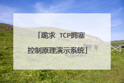 跪求 TCP拥塞控制原理演示系统
