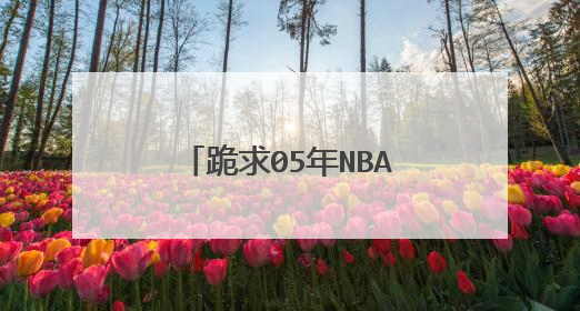 跪求05年NBA全明星东部全家福，图片越高清越好