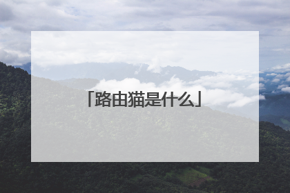 路由猫是什么