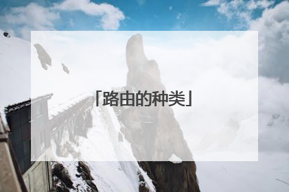 路由的种类