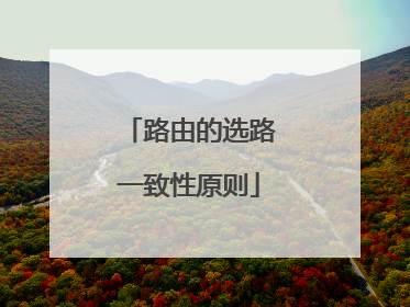 路由的选路一致性原则