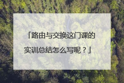 路由与交换这门课的实训总结怎么写呢？